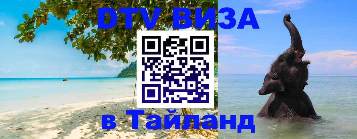 Сколько стоит DTV виза — актуальные цены, оформление даже без документов - 09.01.2026 